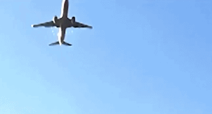 韩国空难发布会现场哭声吼声一片！“不少乘客被甩出机外很难辨认”航司高层鞠躬道歉(图4)