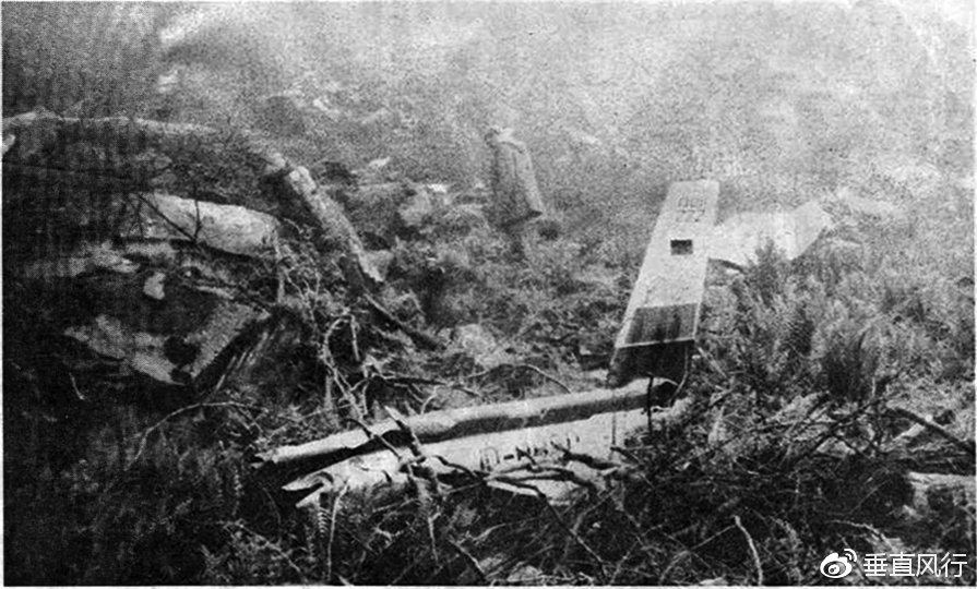 解锁“低空+”密码 书写百业蝶变新故事(图1)