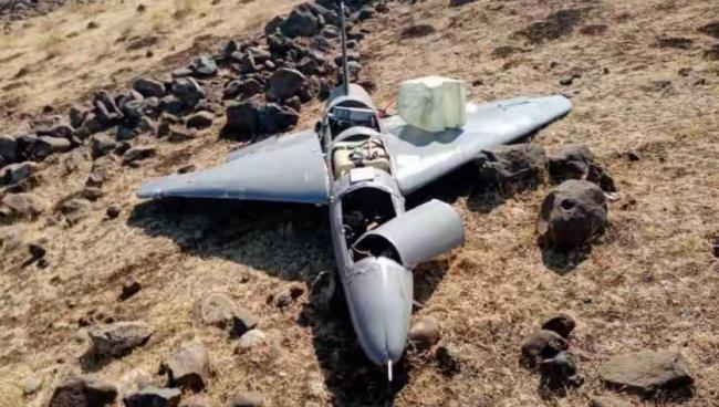 委内瑞拉军方宣布：击落非法入境飞行器引发关注(图7)