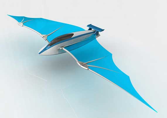 2025迪拜航展开幕 中国C919大飞机亮相(图1)