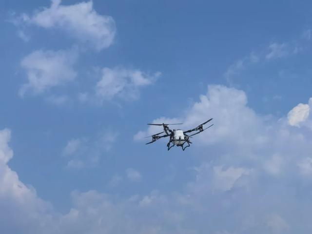 低空版图 “彩云之南”从低空起飞(图1)